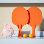 Load image into Gallery viewer, Indoor Table Tennis Set