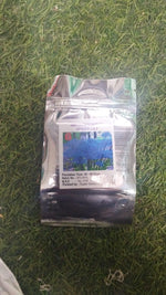 Load image into Gallery viewer, Lily Equinox Flower Bulbs Seeds